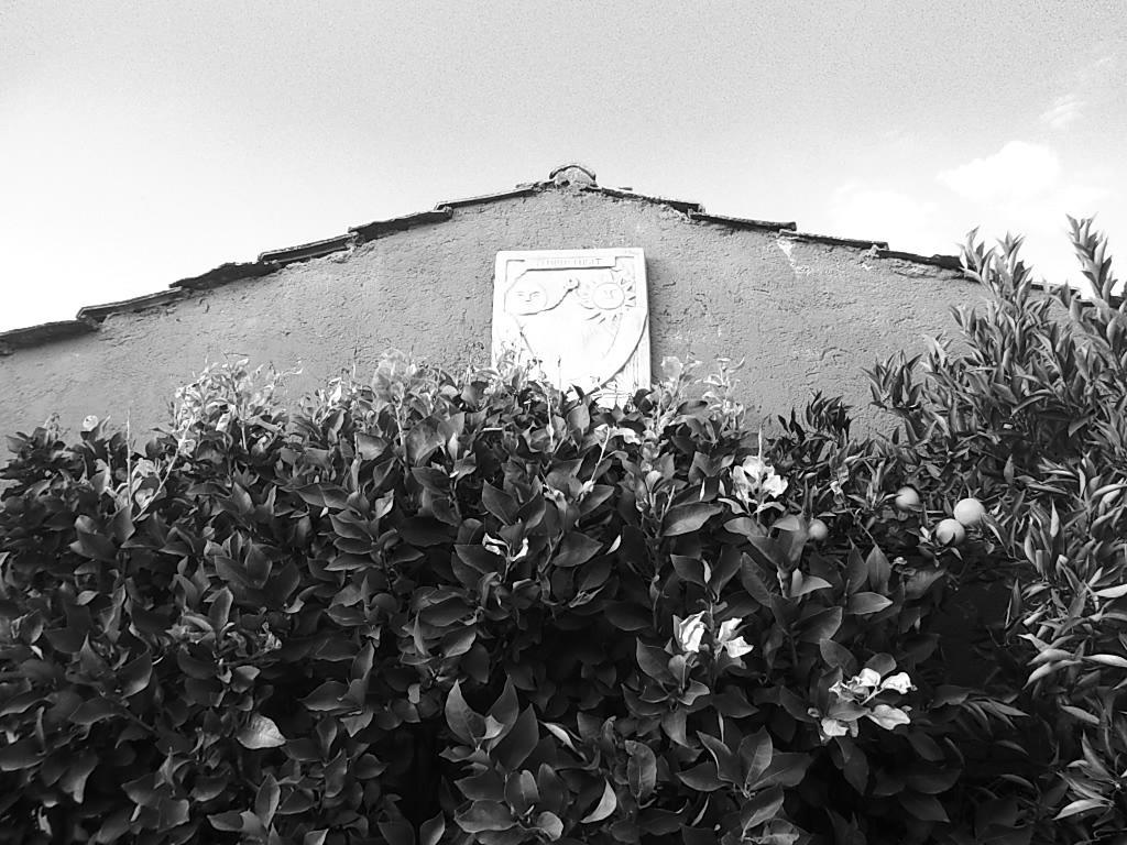 B&B Colle Cucchiara Cassino Eksteriør bilde